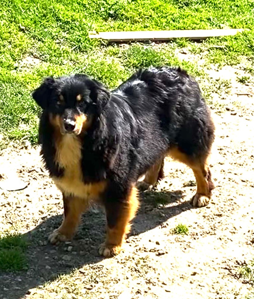 Publication : du Clos Felagund Auteur : wateau laetitia