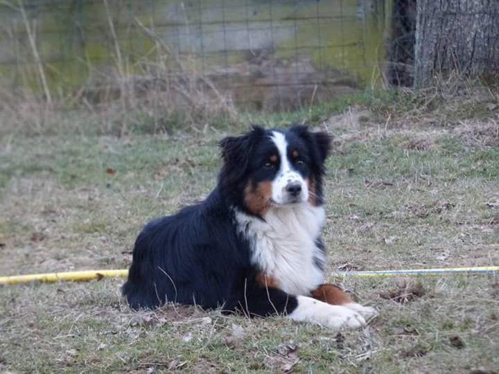 Publication : du Clos Felagund