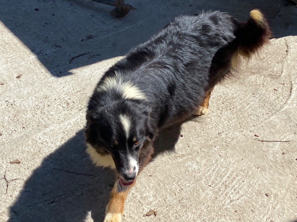 Publication : du Clos Felagund