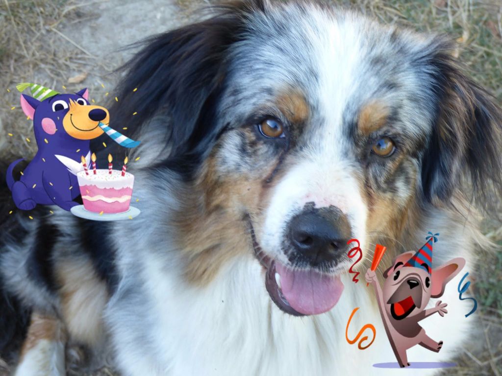 Publication : du Clos Felagund Auteur : Mlle Wateau laetitia