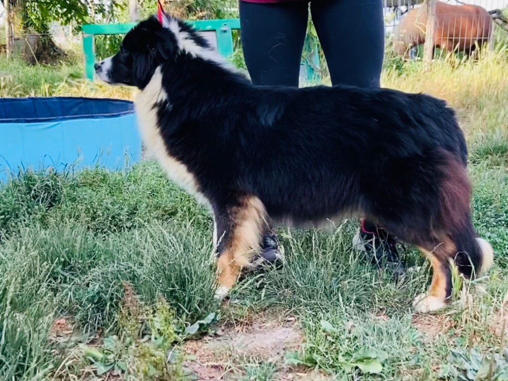 Publication : du Clos Felagund