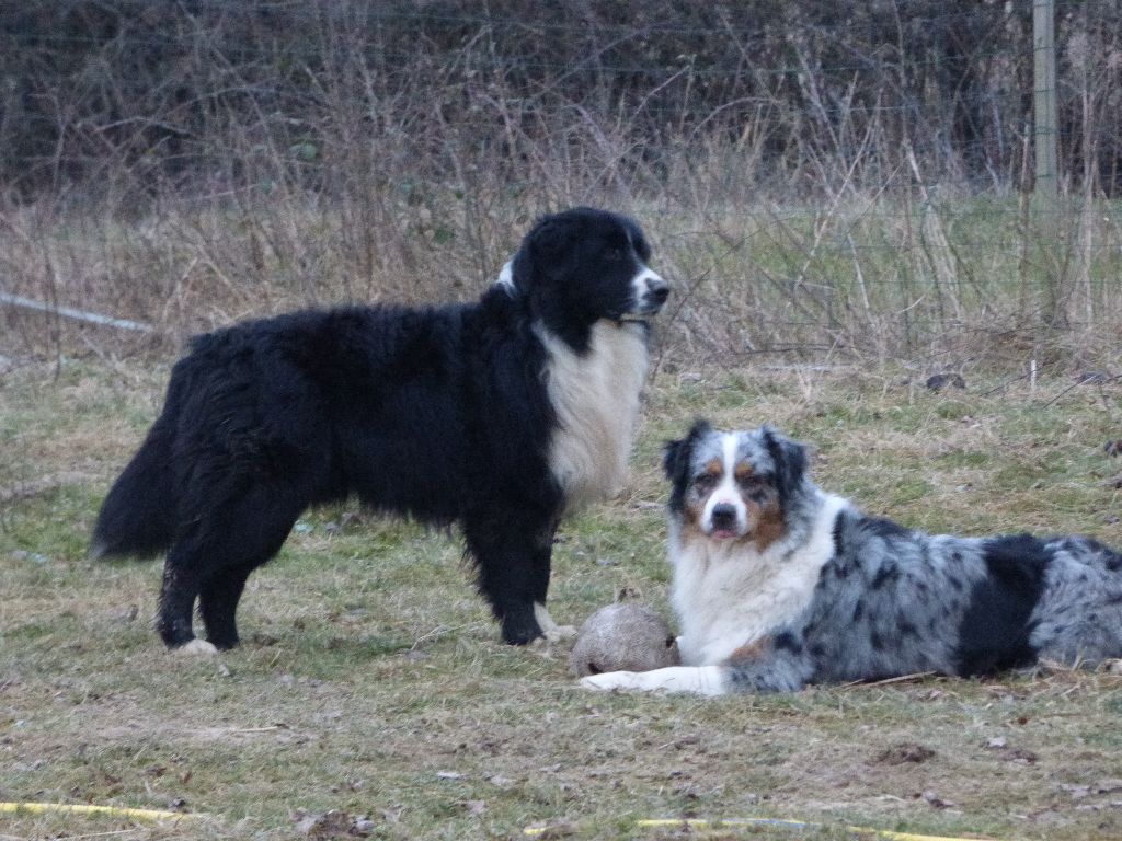 Publication : du Clos Felagund Auteur : Mlle Wateau laetitia