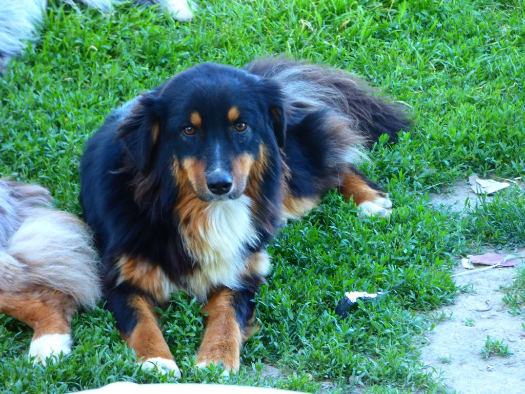 Publication : du Clos Felagund Auteur : wateau laetitia