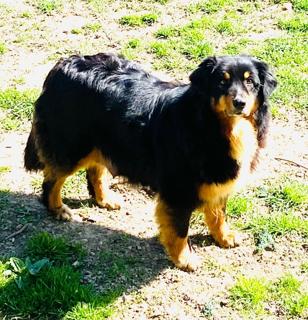 Publication : du Clos Felagund Auteur : wateau laetitia