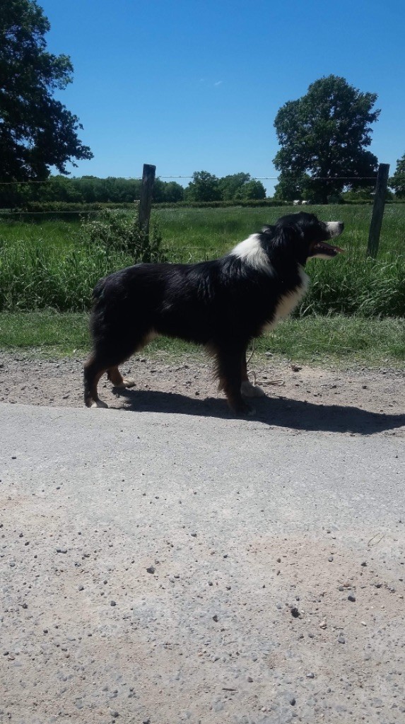 Publication : du Clos Felagund Auteur : Wateau