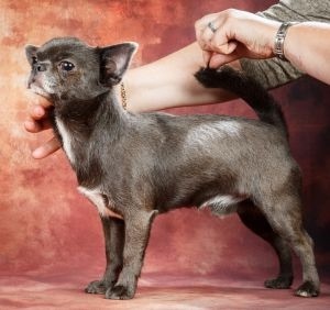 Publication : De San Soleado