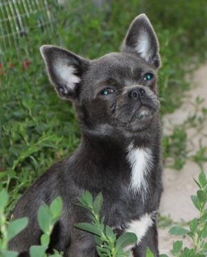 Publication : De San Soleado