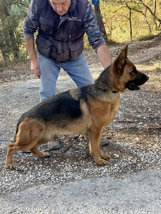 Vany du Chemin du Torrent