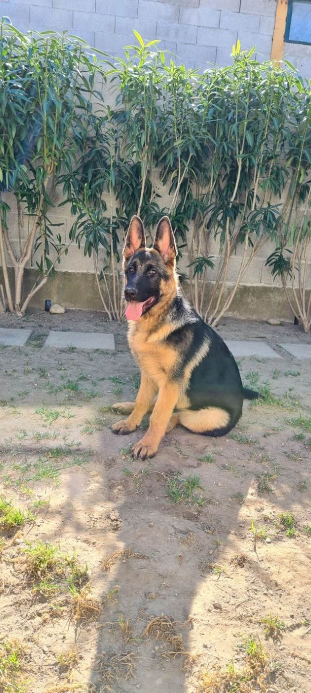 Sky du Chemin du Torrent