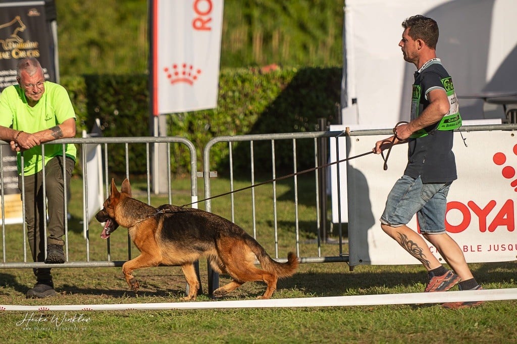 Vany du Chemin du Torrent
