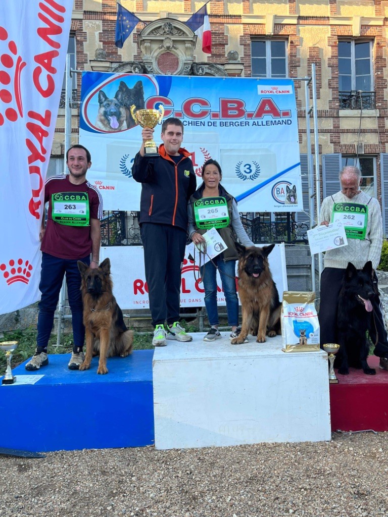 CH. Turbo du Chemin du Torrent - 1er Très prometteur Champion de France Classe Débutant Mâles poil long sur 6