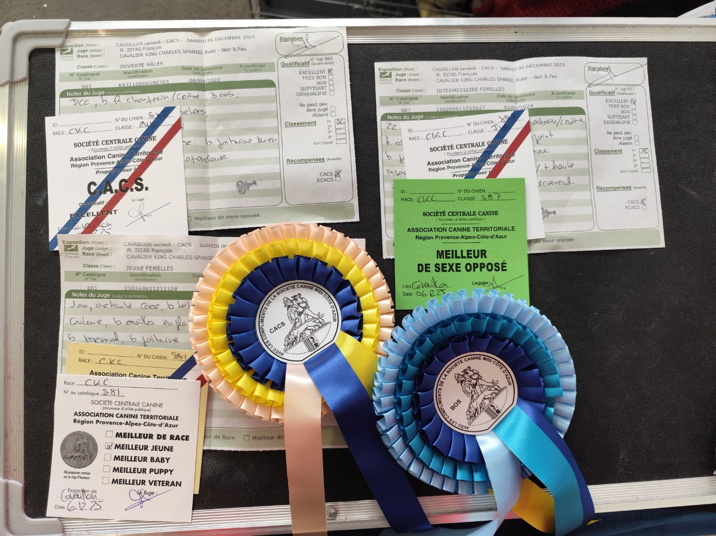 Vanille Du Castel Des Petits Coeurs - CACS BOS