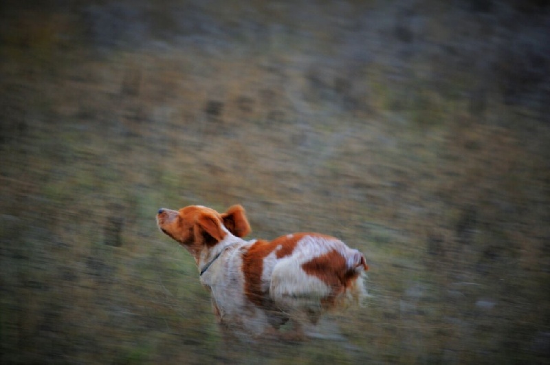 Publication : De Sabiyur Auteur : Luis nava