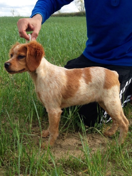 Publication : De Sabiyur Auteur : Luis nava