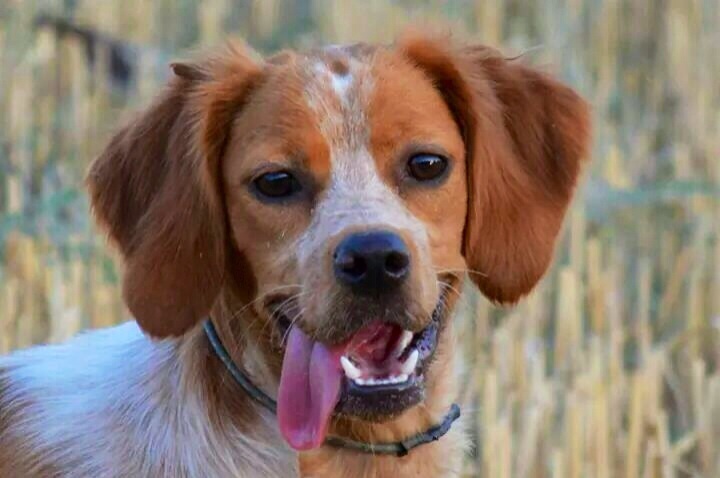 Publication : De Sabiyur Auteur : Luis nava