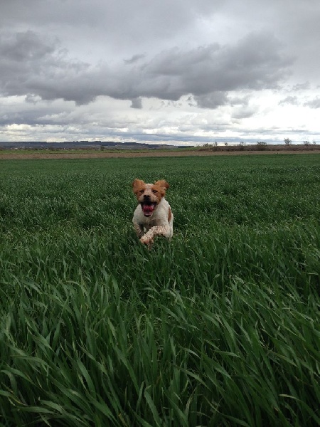 Publication : De Sabiyur Auteur : LUIS NAVA