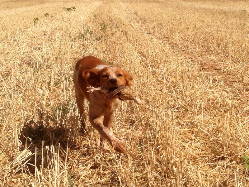 Publication : De Sabiyur Auteur : Luis nava