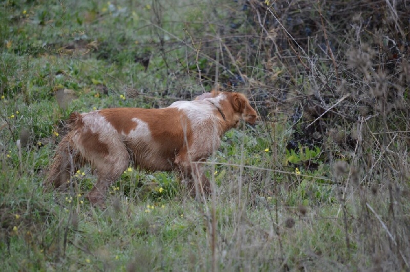 Publication : De Sabiyur Auteur : Luis nava