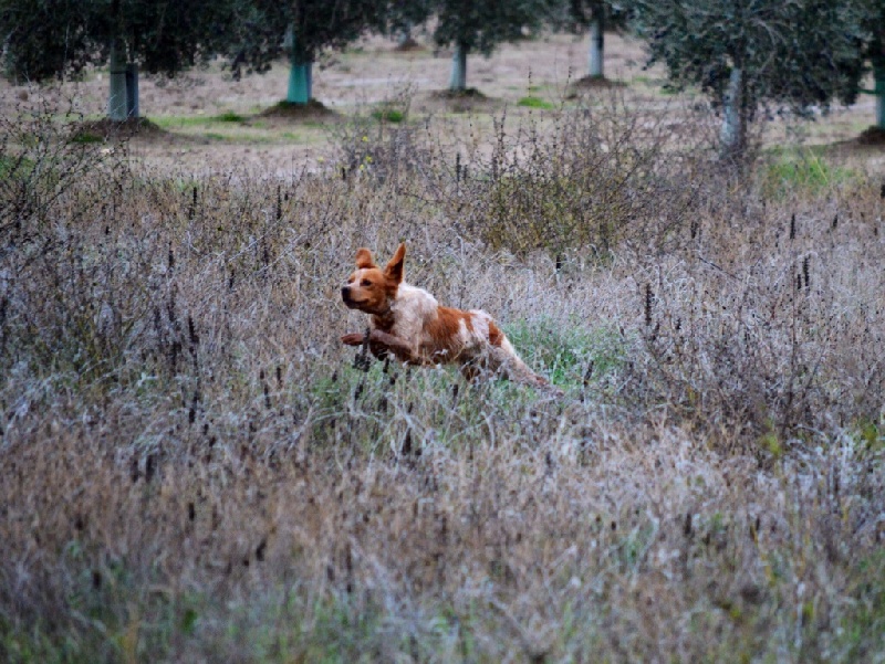 Publication : De Sabiyur Auteur : Luis nava