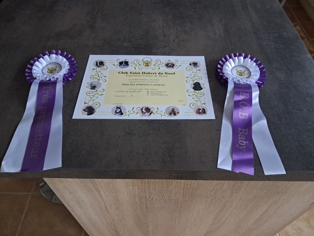 Abba Des Kimmidolls Kokeshi - 1ERE TRES PROMETTEUR BOB BABY