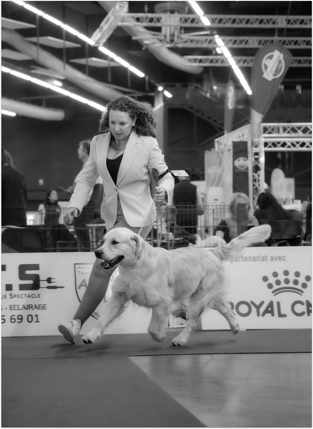 Unyk Dream des jardins d'Epona