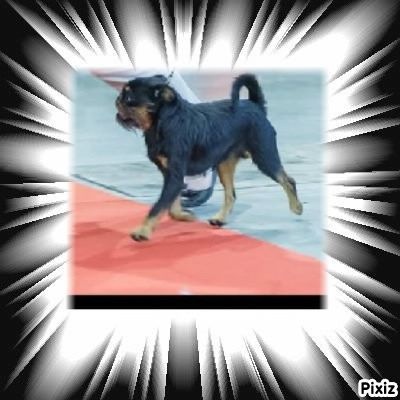 Publication : Des Brabs De Philie