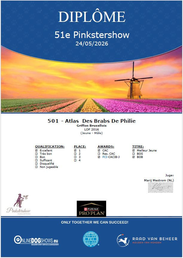 Atlas Des Brabs De Philie - 1er excellent en classe jeune, CACS et CACIB jeune et BOB