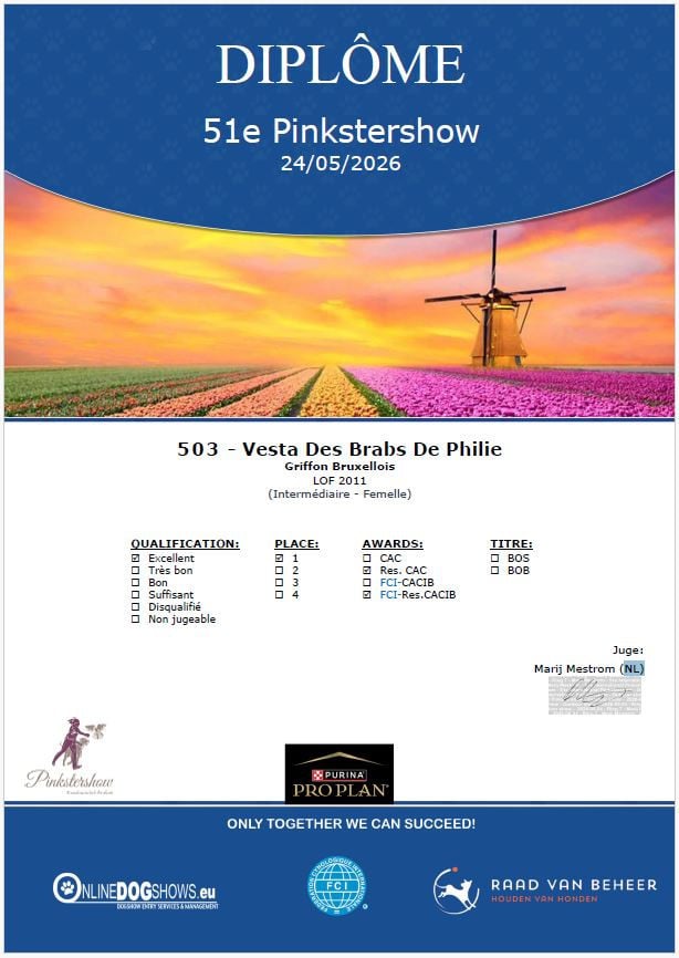 Vesta Des Brabs De Philie - 1ere excellent en classe intermédiaire, Rés. CACS, Rés. CACIB