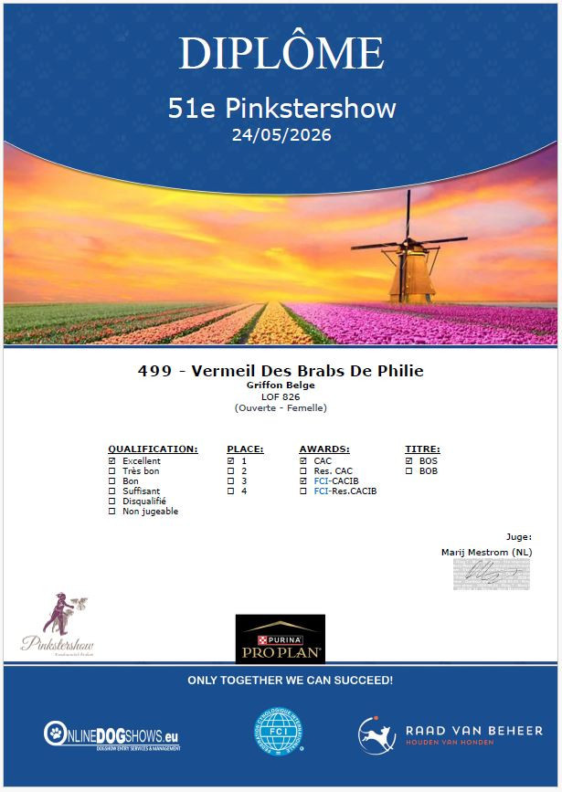 CH. Vermeil Des Brabs De Philie - 1ère excellent en classe ouverte, CACS, CACIB et Meilleur de sexe opposé