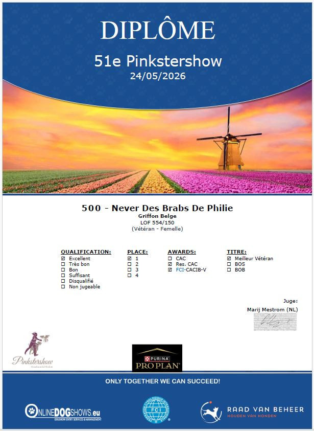 CH. Never Des Brabs De Philie - 1ere excellent en classe vétéran, réserve de CACS, CACIB vétéran et Meilleur vétéran