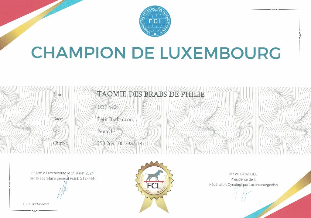 CH. Taomie Des Brabs De Philie - 1ère excellent - CACL - CACIB