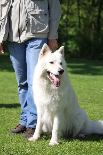 Hayleen Du Domaine De La Heidenkirche