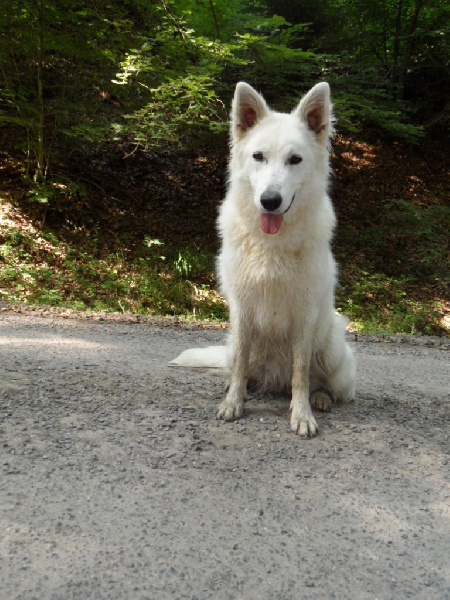 Hayleen Du Domaine De La Heidenkirche