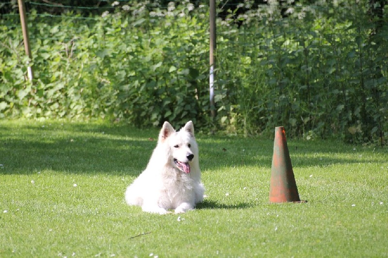 Hayleen Du Domaine De La Heidenkirche