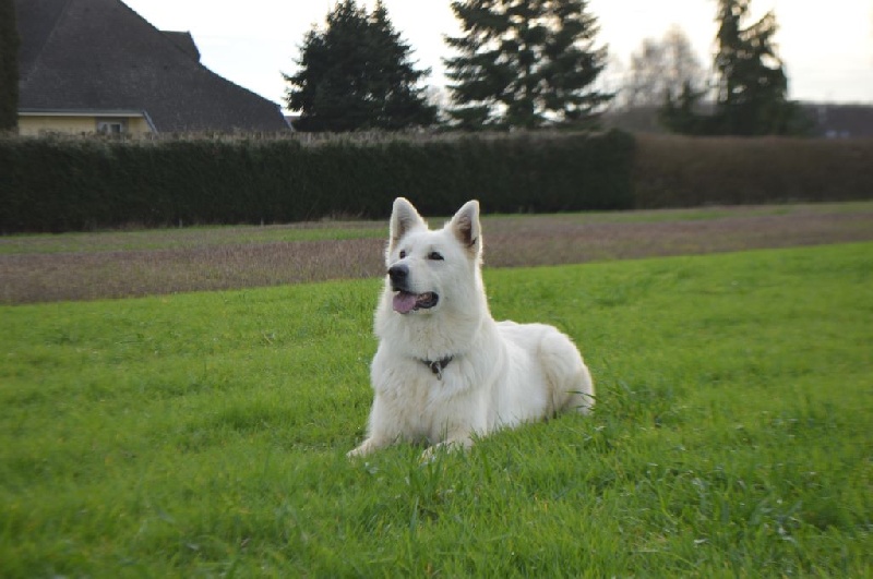 Hayleen Du Domaine De La Heidenkirche