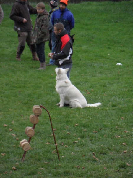 Hayleen Du Domaine De La Heidenkirche