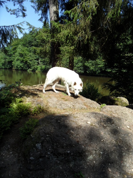 Hayleen Du Domaine De La Heidenkirche