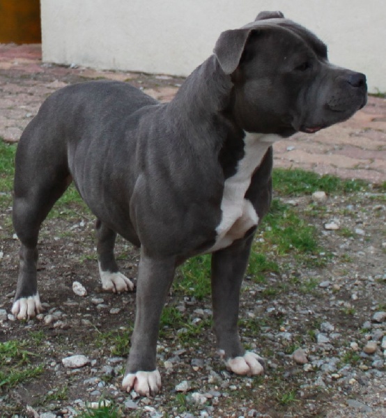 Publication : Of Blue Diamonds City