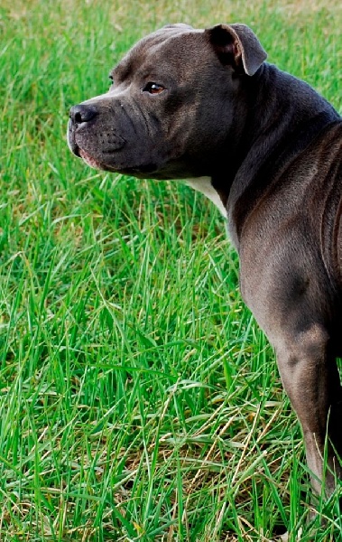 Publication : Of Blue Diamonds City