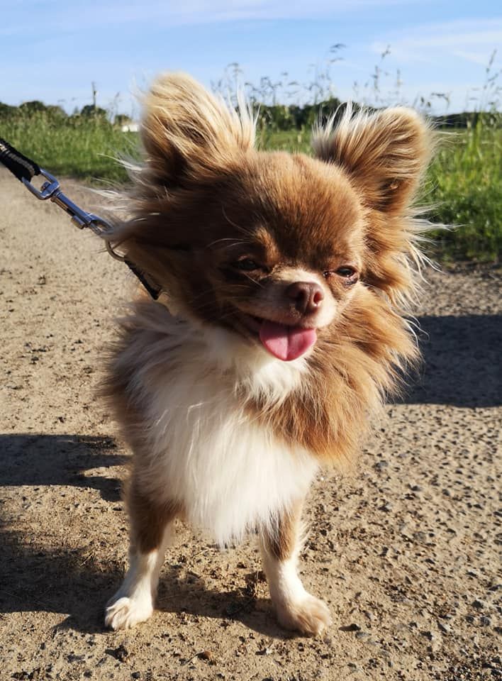 Publication : De Doukywa