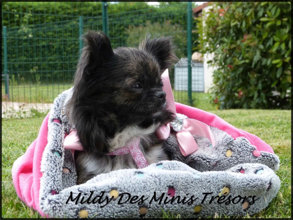 Publication : De Doukywa