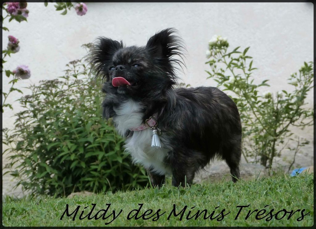 Publication : De Doukywa