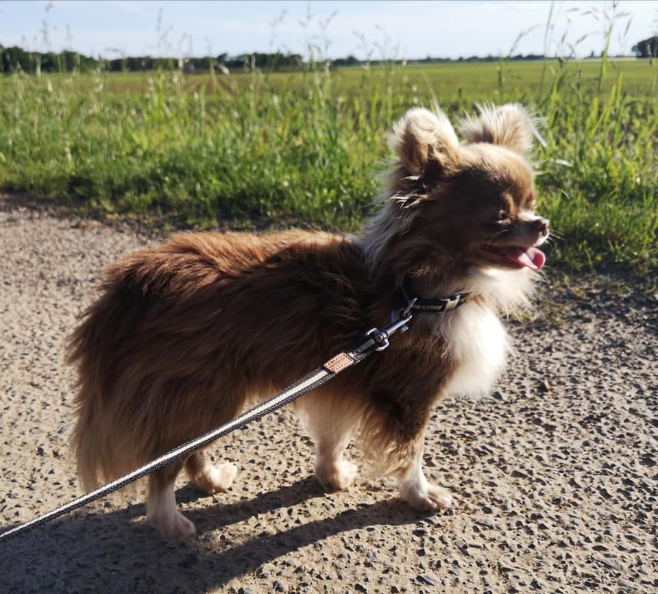 Publication : De Doukywa