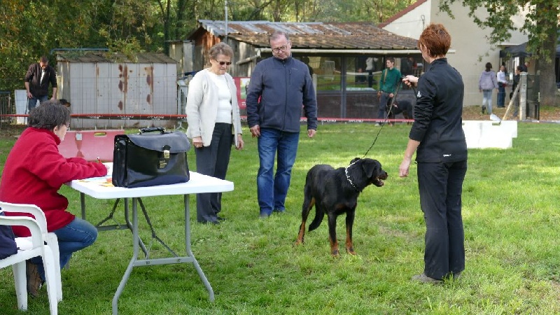 Ieko du Murier de Sordeille - cotation 3