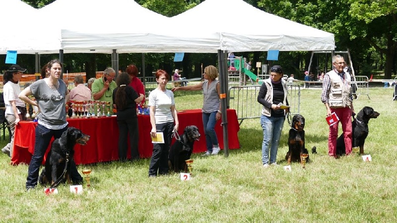 Ieko du Murier de Sordeille - 2ème, Excellent avec 239 pts en classe 1