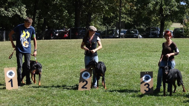 Ieko du Murier de Sordeille - 3ème Excellent classe jeune