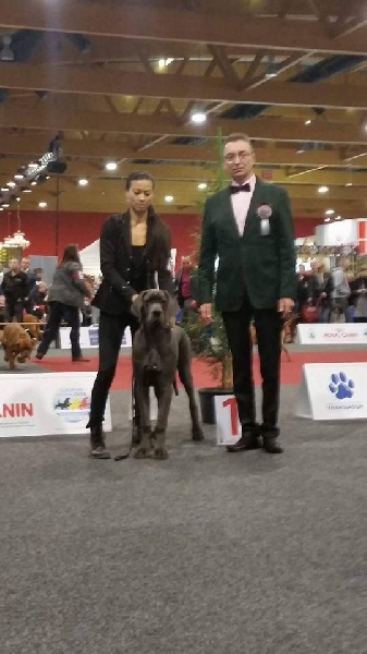 L'air du temps Des Terres De Romandor - 1ère Très prometteur Ring d'honneur Meilleur Baby