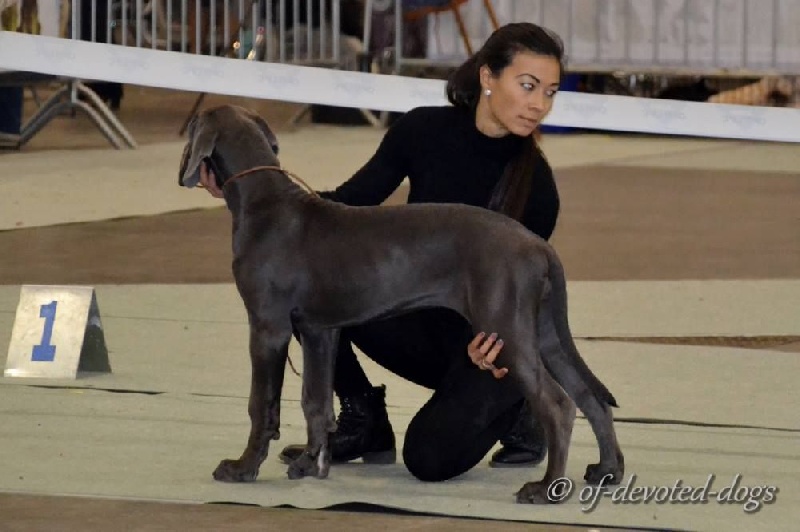 L'air du temps Des Terres De Romandor - 1ère Très prometteur Ring d'honneur Meilleur Baby
