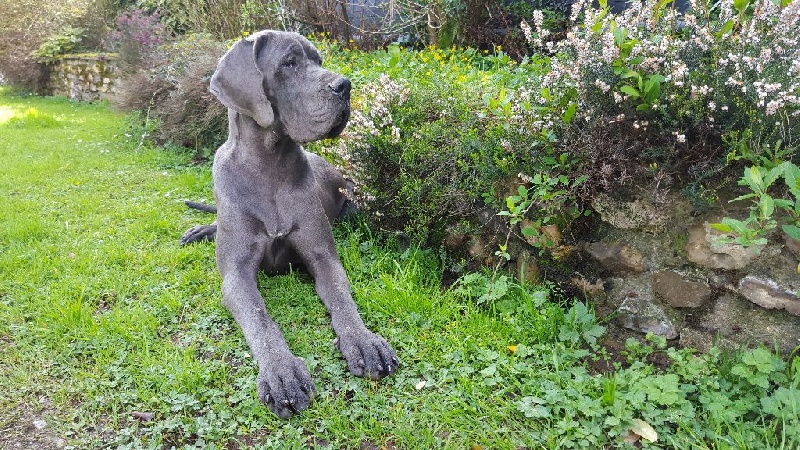 L'air du temps Des Terres De Romandor - Très prometteur