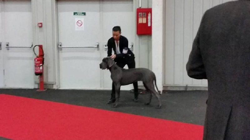 L'air du temps Des Terres De Romandor - Prometteur classe baby